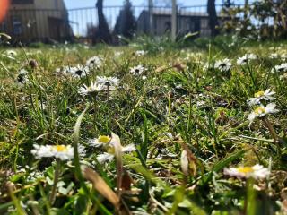 Gartenblick Trebbin - Trebbin - 3