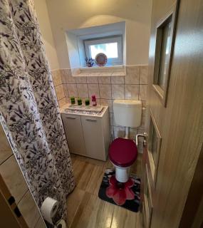 Wellness Venkov s vířivkou, saunou a hernou - 1
