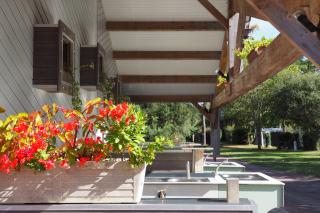 Camping Le Puits de l'Auture - Saint-Palais-sur-Mer - 2