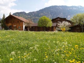 Salzano Basic Rooms Interlaken - Interlaken - 1