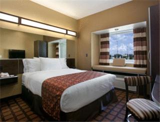 Microtel Inn & Suites by Wyndham Bluffs - 6