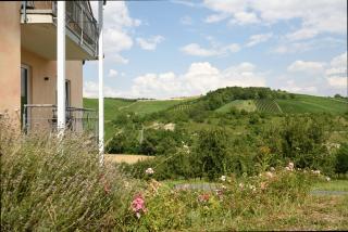 MANA LISA Boutiquehotel - Lauda-Königshofen - 2