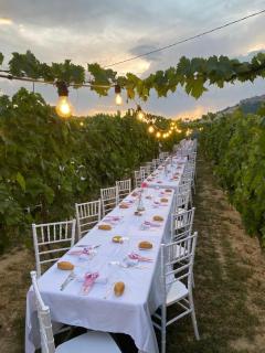 Agriturismo Oasi Biologica - Montedinove - 1