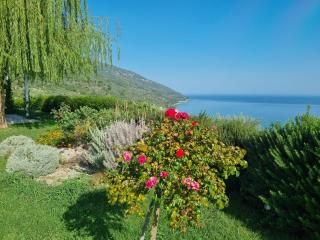 Moses Villa - 2