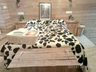 Apartamentos Caleros - Cáceres - 9