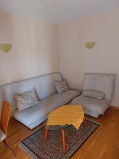 Apartmani Pašić Zlatibor - Zlatibor - 7