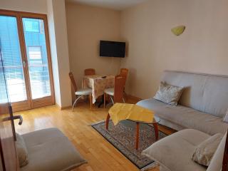 Apartmani Pašić Zlatibor - Zlatibor - 3