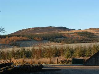 Tomnagairn Cottage - Dunkeld - 4