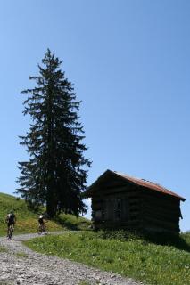 Haus Alpenecho - Mittelberg - 1