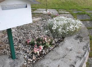 GRAZIOSA BIFAMILIARE AD ASIAGO con giardino privato - Asiago - 3