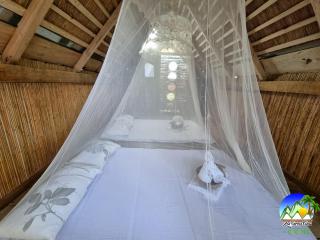 Zen Tierras Farm powered by Cocotel - Dingalan - 4