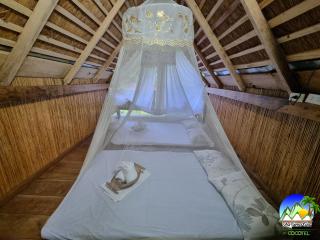 Zen Tierras Farm powered by Cocotel - Dingalan - 2