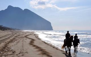 Circeo Holiday Houses - San Felice Circeo - 2