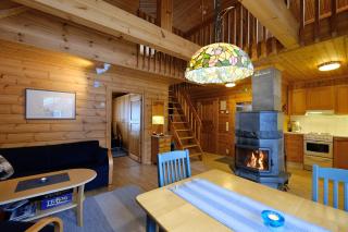 Villiporo Cabin Levi - Levi - 8