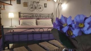 Il Vicolo b&b - Putignano - 5