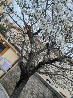 Bed & Breakfast Barbara - Borgo Grotta Gigante - 6