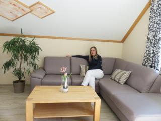 Ferienhof Handlesbauer - 4