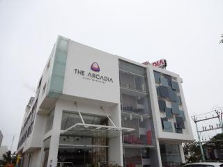 The Arcadia - 8