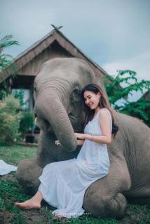 3 Pok Maewang jinxiang - Ban Mae Sapok Noi - 8