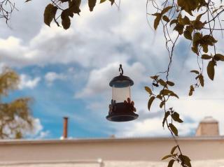 La Casa que Canta / Loft en barrio turístico - Tandil - 4
