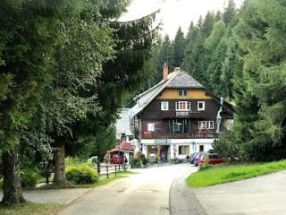 Gasthaus Luggwirt - Gnesau - 9