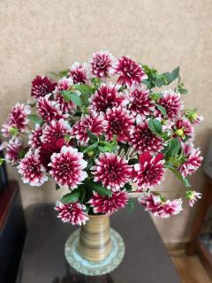 Orchids Hotel - Sapa - 3