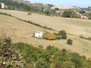 Bed & Breakfast In vino veritas - Arcevia - 3