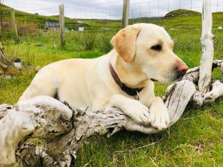 Emma's Self Contained luxury apartment - 7