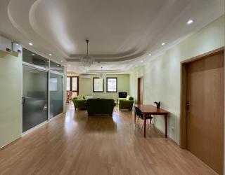 Huge Apartment with a Garden in the City Center - Pristina - 3