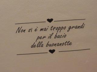 Immagine 5