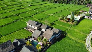 Ananda JJ Ubud Resort & Spa - Ubud - 9