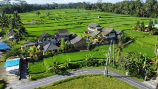 Ananda JJ Ubud Resort & Spa - Ubud - 5