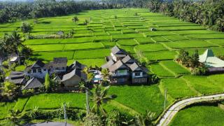 Ananda JJ Ubud Resort & Spa - Ubud - 4