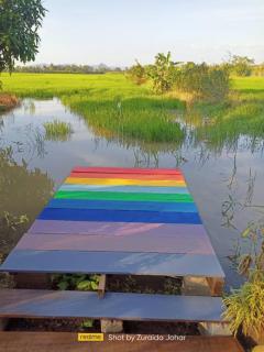 Pink Homestay D'Perlis - 1