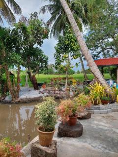 Pink Homestay D'Perlis - Kangar - 4