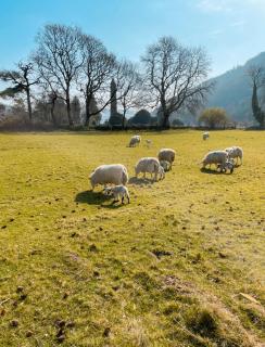 Glendalough International Youth Hostel - Laragh - 7