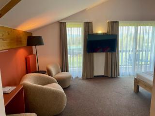 Sapia Hotel Rheinsberg - Bad Säckingen - 7