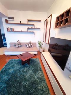 Aria Premium Apartment - Bucarest - 7