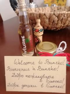 Апартамент за гости Мая Downtawn Банско - Bansko - 4