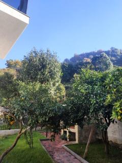 European Village Old Villa #6 - 7