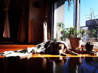 Urban Yoga House Hostel & Retreat - Ioannina - 3