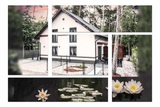 Lily - Sunny Flowers Apartments - 0