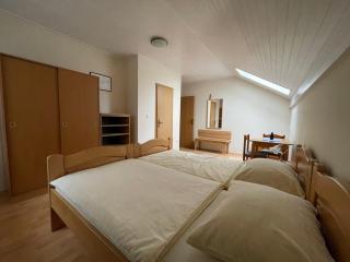 Kegljišče VISOLE Apartmaji in Sobe - Slovenska Bistrica - 4
