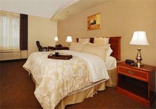 Plaza Inn & Suites - 4