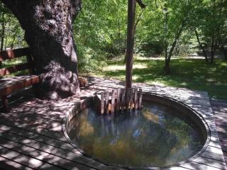 Agradable casa cerca de las termas de Chillan - Las Trancas - 7
