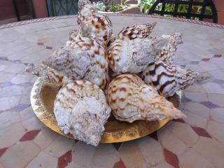 Riad Bibtia - Marrakesh - 4