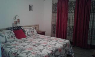 Glass House Haven - 2