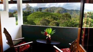 Lakshmis Hotel Ella - 0