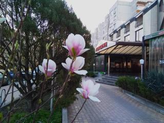 Hotel Slaviani - Dimitrovgrad - 0