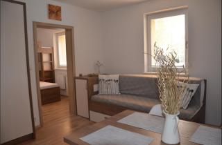 Apartmán Loučná - Špičákovi - Loučná nad Desnou - 9